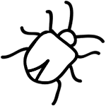 icon of a white beetle bug